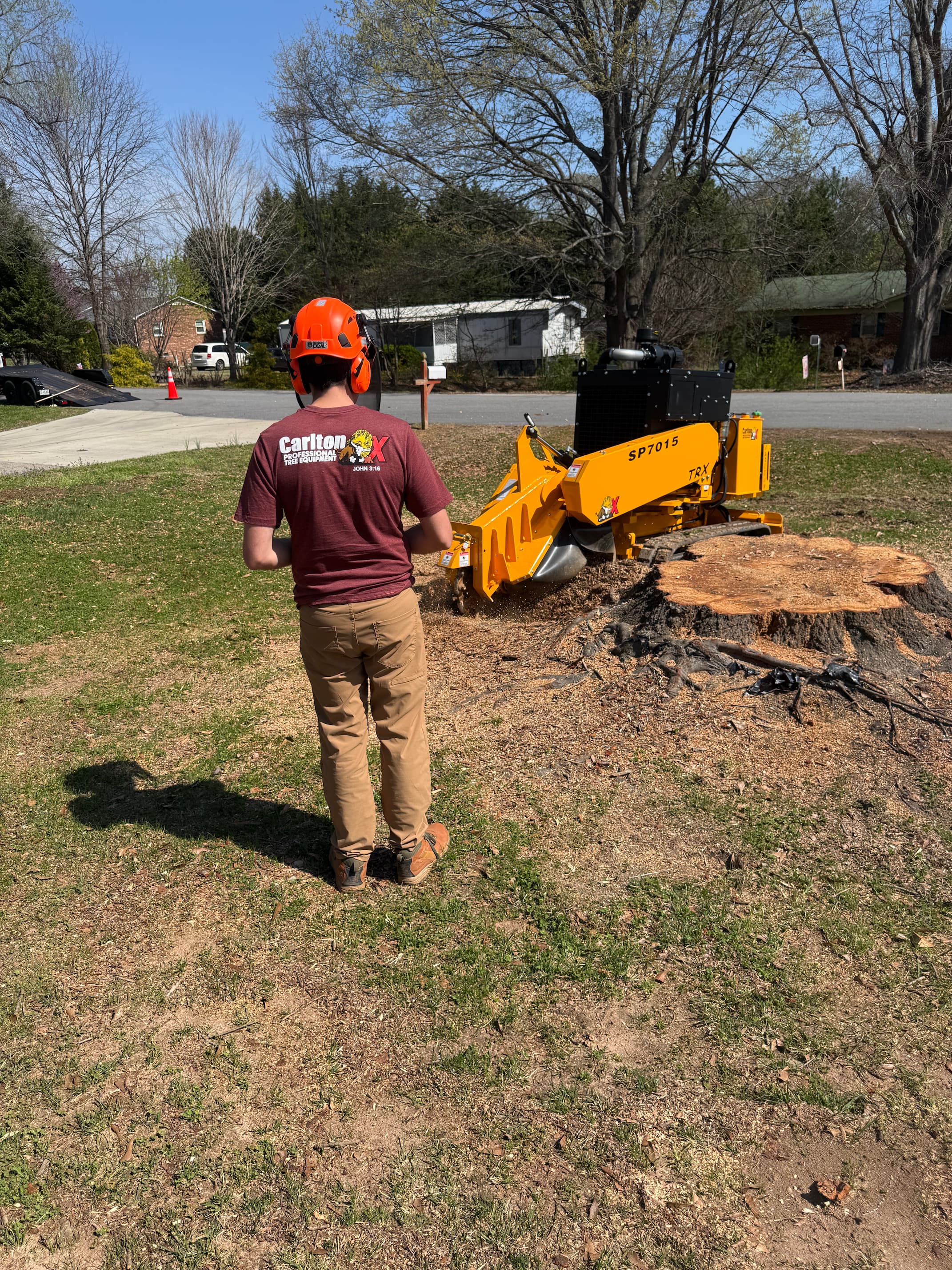 Stump grinding job site