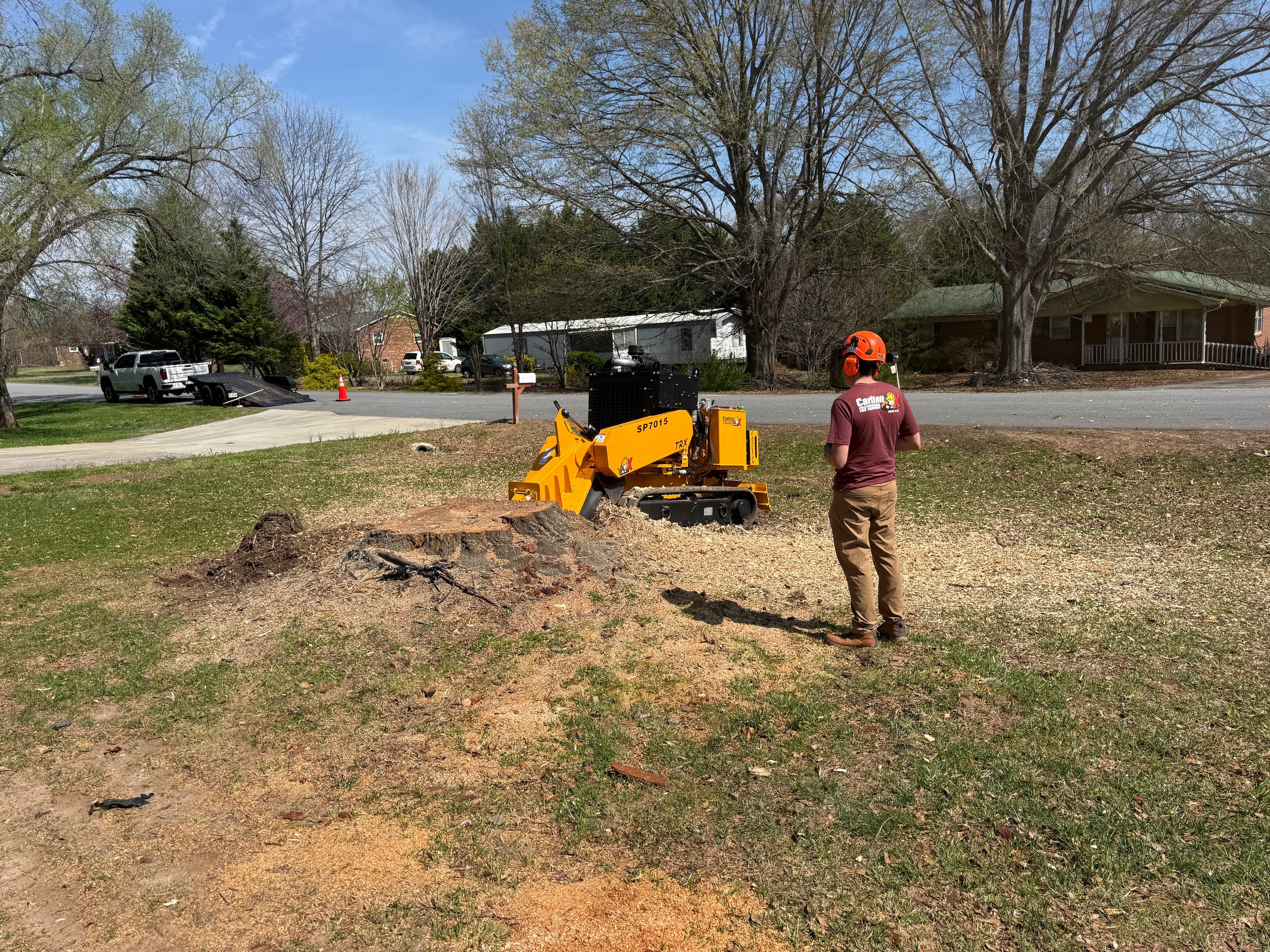 Freshly ground stump with mulch left on site