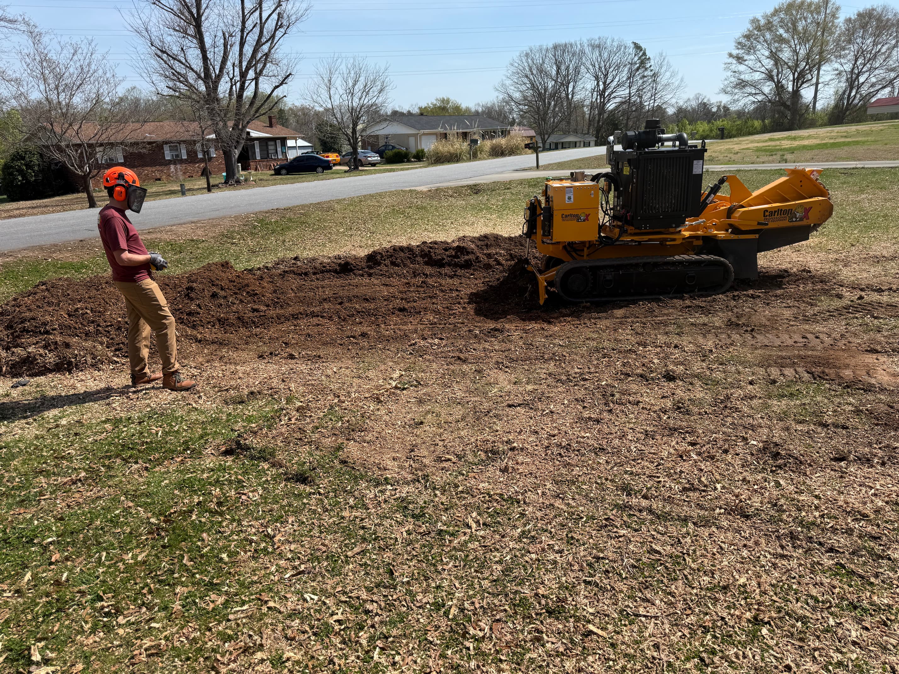 Completed stump grinding work